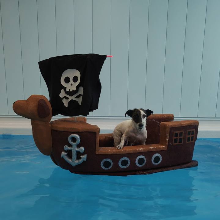 0e7e49ad ad4e 4e5b ab6d 676faba0f6dc 1767588021356