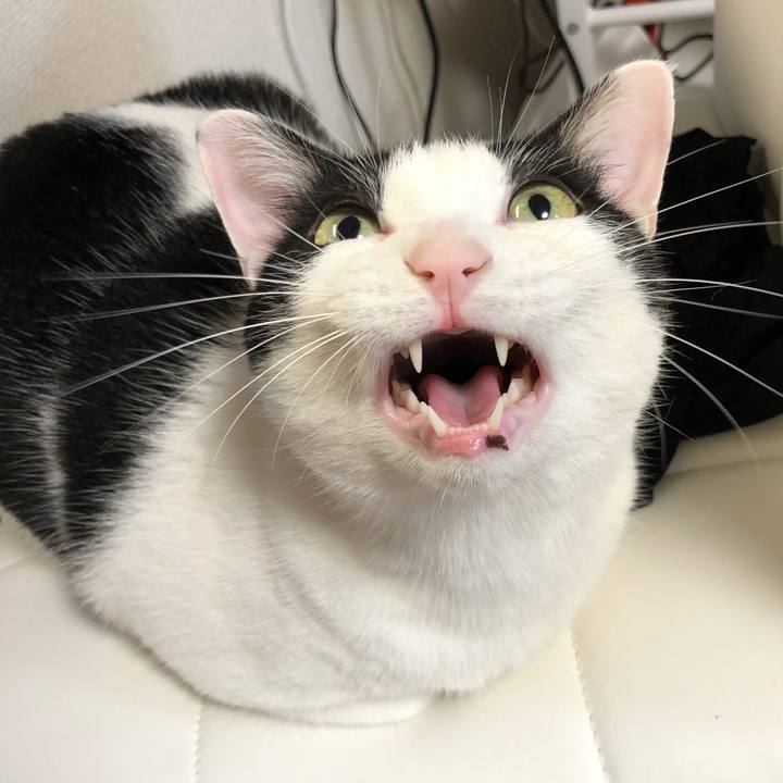 0e7e9f6c c6a8 4ecc 9995 302daaf4a907 1521118586500