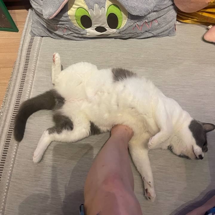 0e7ed368 4834 4c50 a95b a407dbb6b766 1753366740700