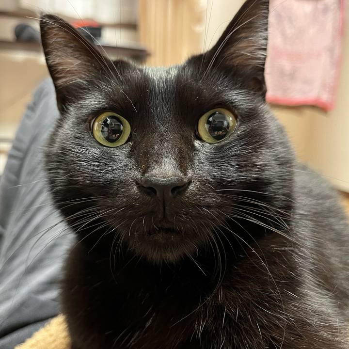 0e7efdf1 83a3 4cc3 9829 6e040f29d568 1643286891737