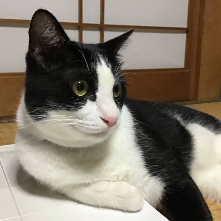 0e7f50be 2151 4579 a0a5 5ed4b74957e8 1692014717381