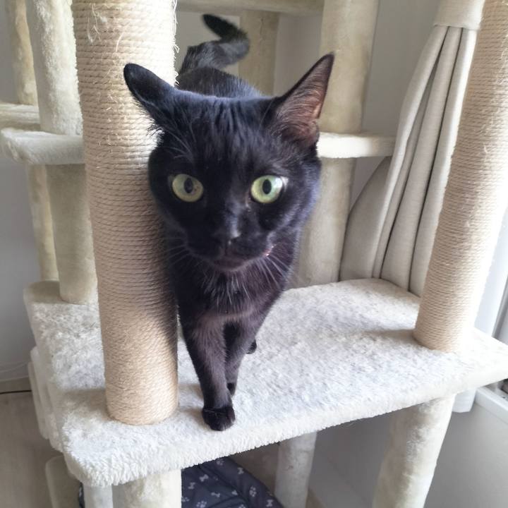 0e7f67e3 21ea 44a6 8a3f ac7fa7e61daa 1694820670386