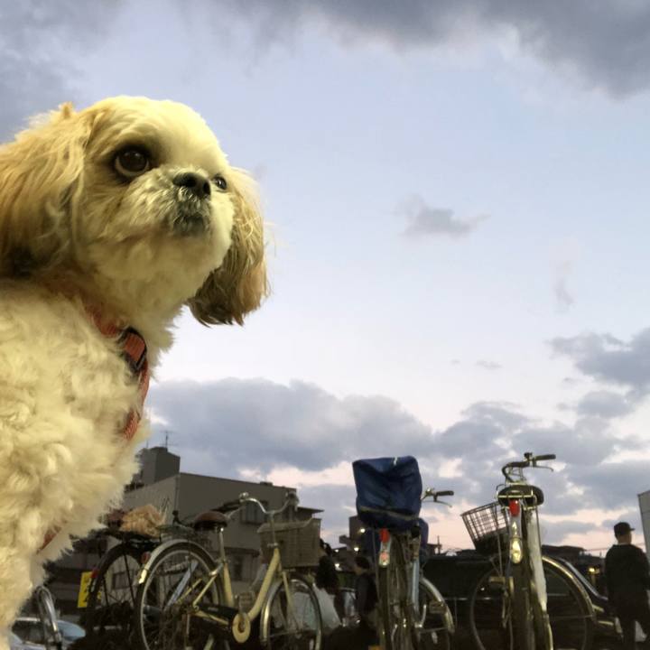 0e7f7287 7ae0 4ec5 b2fe 949321fa1156 1541845086672