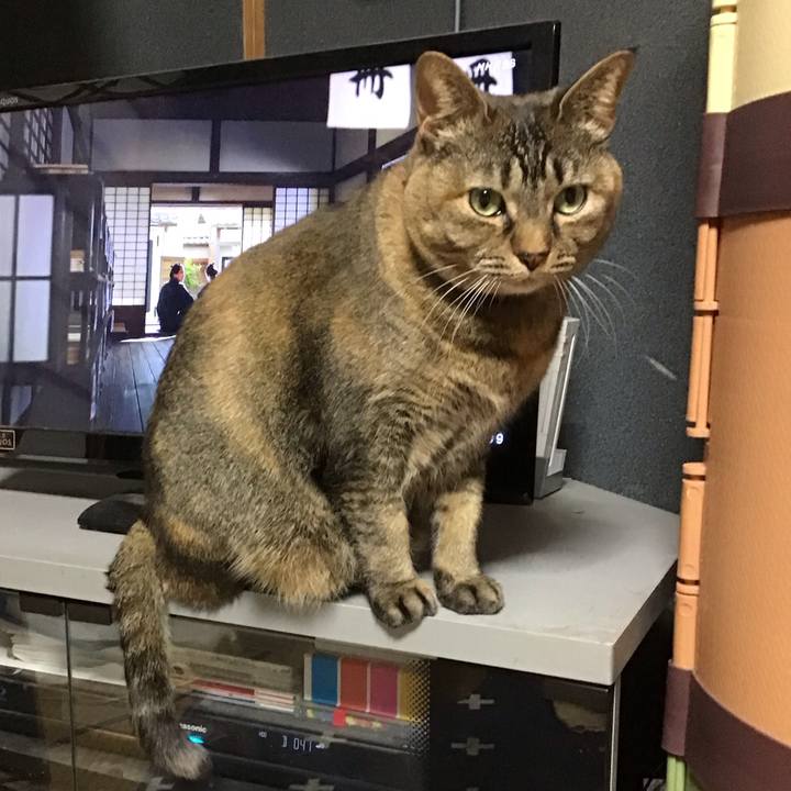 0e7fb1e9 772f 4e17 b9c6 46d021c21602 1739092983501