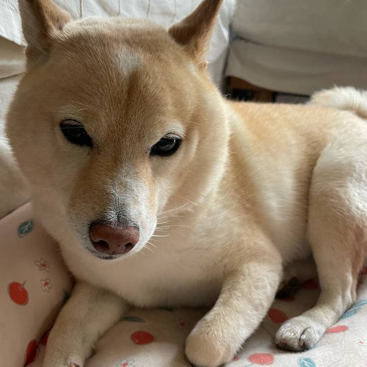 0e7fd1f2 e9e4 4cae 99fa 54992c3e511b 1722860550085