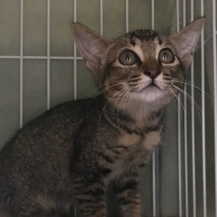 0e8034f0 731d 44c4 9ef6 3e5c2cd821a2 1531867675288