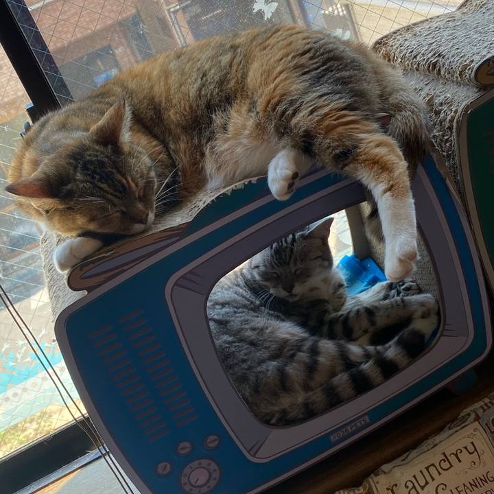 0e808654 d788 49dd 9e27 3b3090eda354 1653453859639