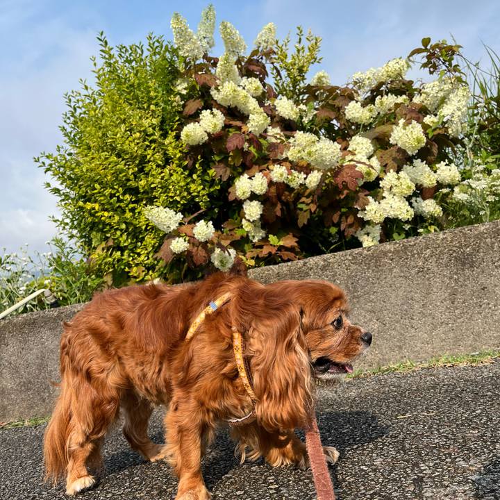 0e809e89 2ab9 4405 83dd 6e76d05205fa 1717286346430