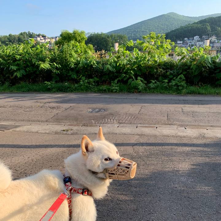 0e80d1c0 821d 4a10 bf0d a17241422537 1561841409738