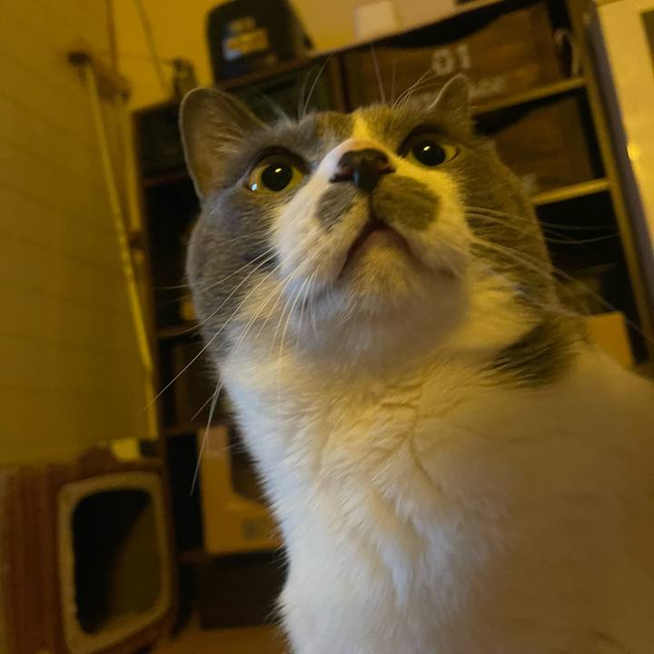 0e817cff 740d 4438 bc2b cdd634feff72 1743892983726