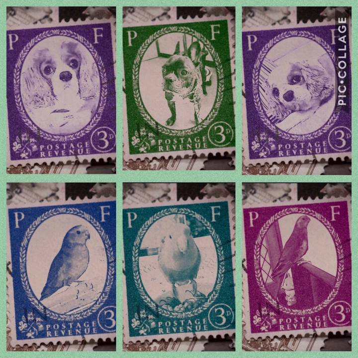 0e818031 3d4f 4490 abe6 6e36b3bf1ae7 1570019369810