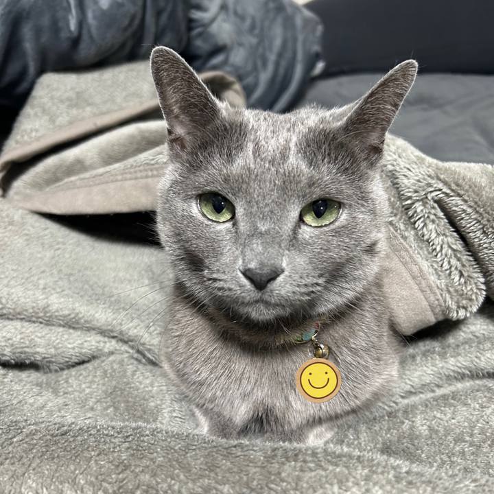 0e8194d1 0336 4f23 9991 ff7420f7ec2e 1678258274915