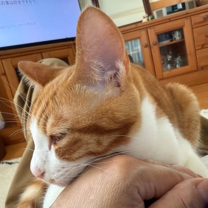 0e81c4f7 634a 4f0d b0d2 507c4899162e 1761025570970