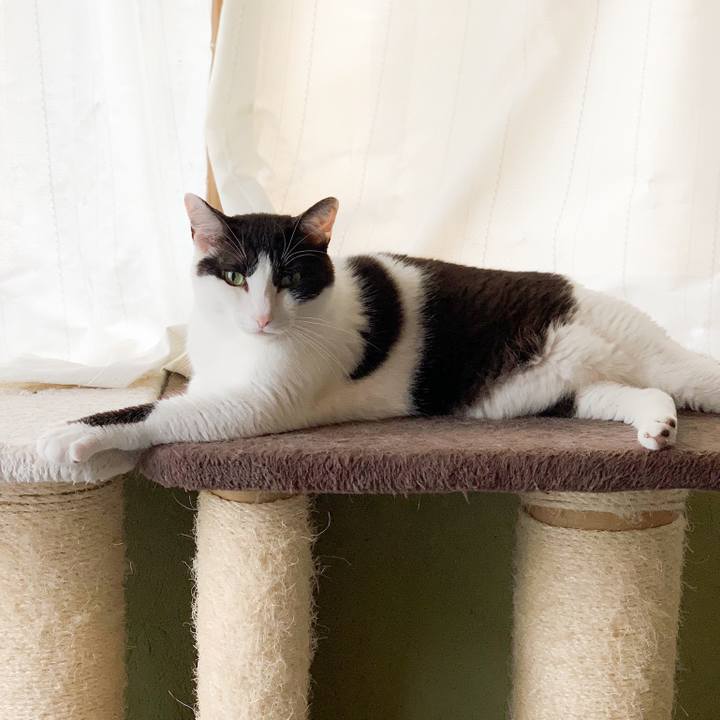 0e820c76 41f0 4f05 9202 822067976b7c 1566349309004