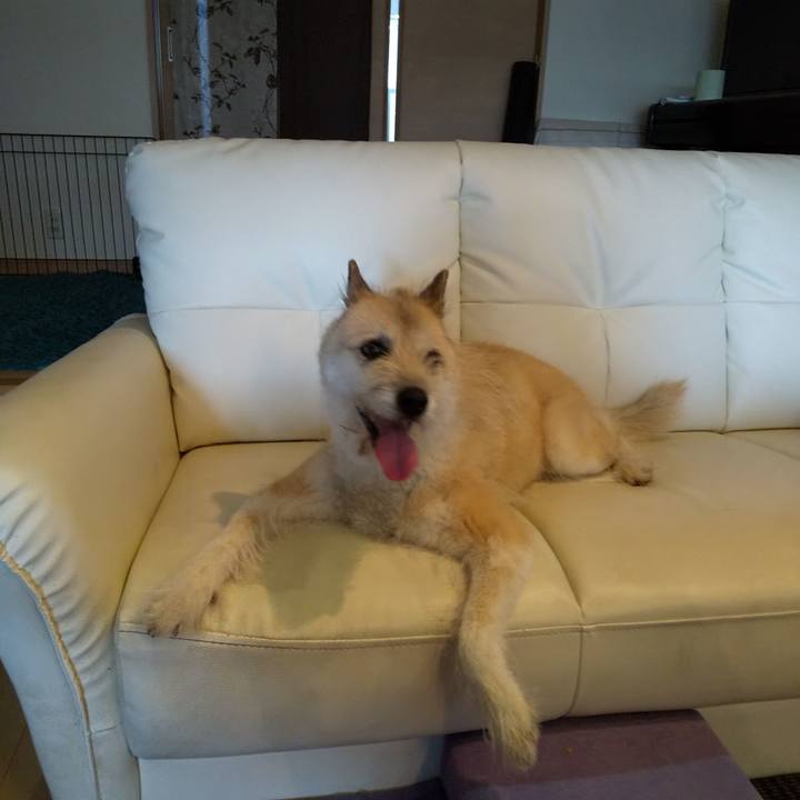 0e823892 e499 4186 a1dd 57bd82c86d6f 1564273333902