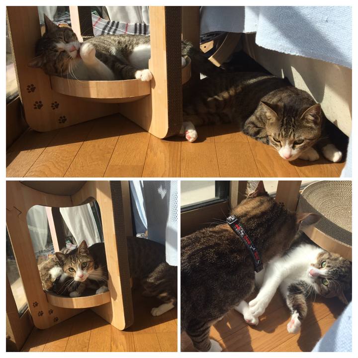 0e825208 b682 4eff 9005 4a267a07b04e 1682246835323