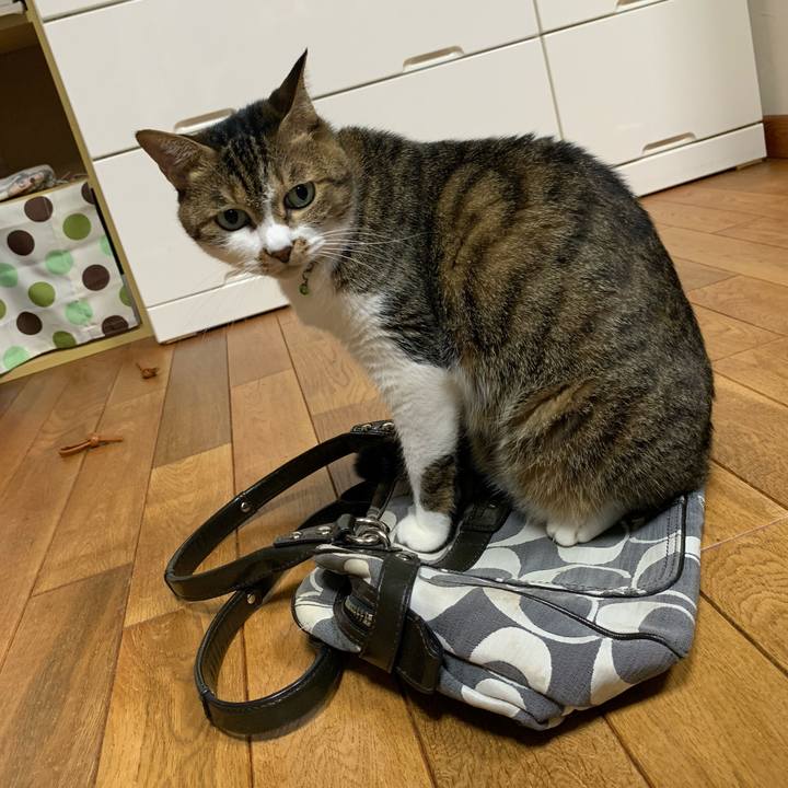 0e82be85 5750 4234 b3bd 02b20f32a16c 1636894735169