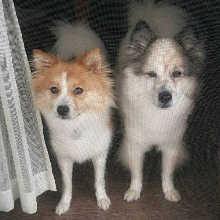 0e82ed51 0de3 4611 b28d a46dd7d5fe93 1583065855336