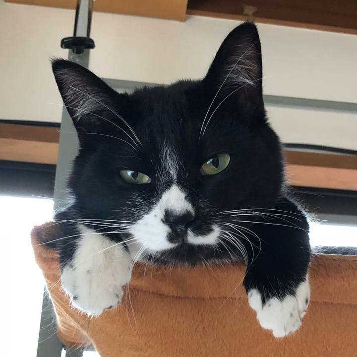 0e82f434 38ee 4dc6 b129 76f1763ede20 1526442082822