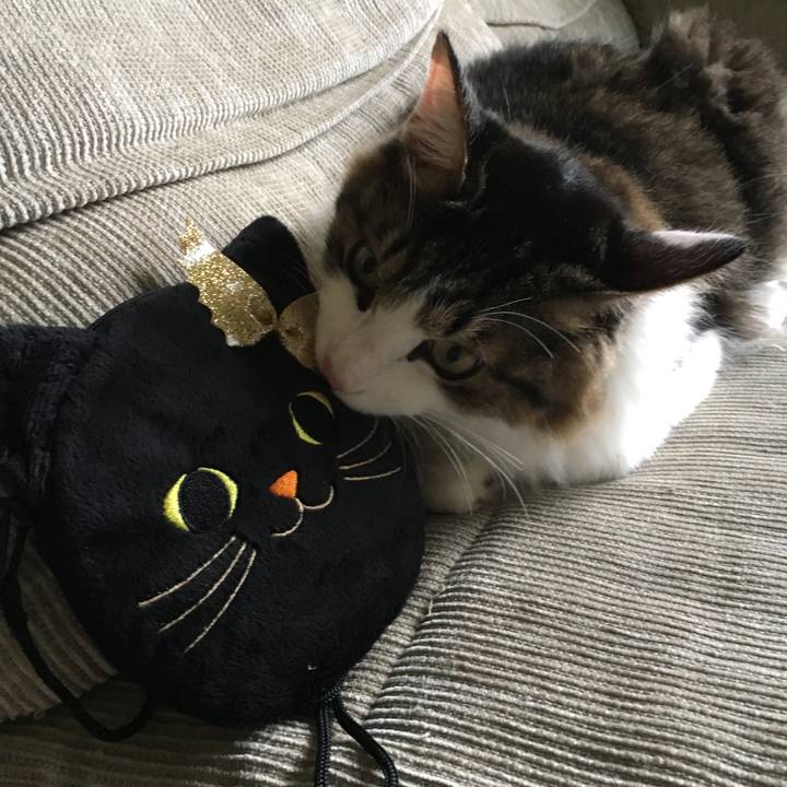 0e831e71 9cba 4585 9b74 bbd92ace53e7 1508889253791