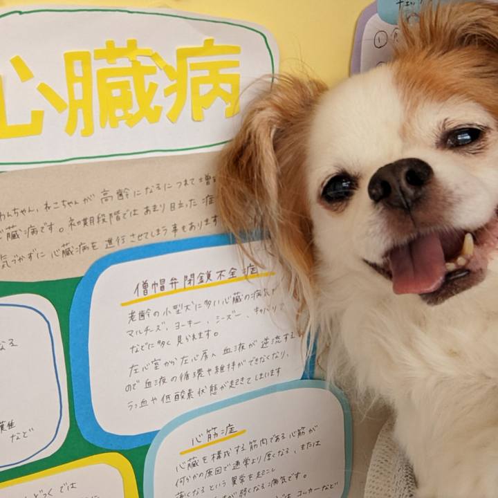 0e832aeb 3e2c 4c53 a337 14853f6b6bb3 1657854841921