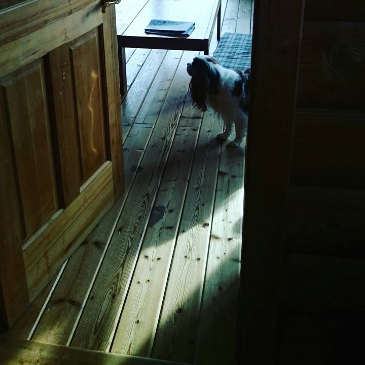 0e833ee2 ad48 4755 af43 03b90b6a2b62 1549542589032