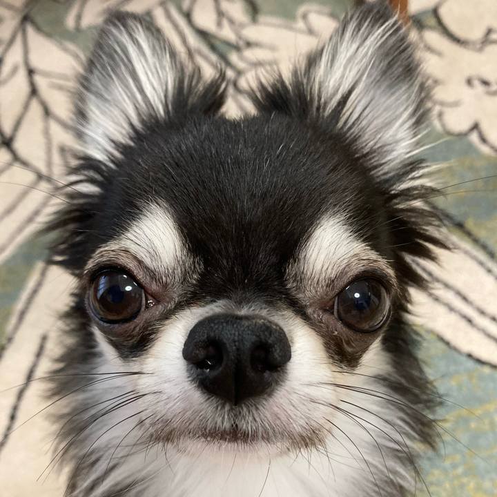 0e835787 7eaa 4eb5 a386 74889e407d73 1630190378403