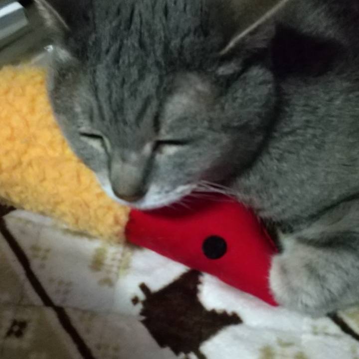 0e83650e ad00 4d5c 86ba 23a44cbf8d69 1678747242749