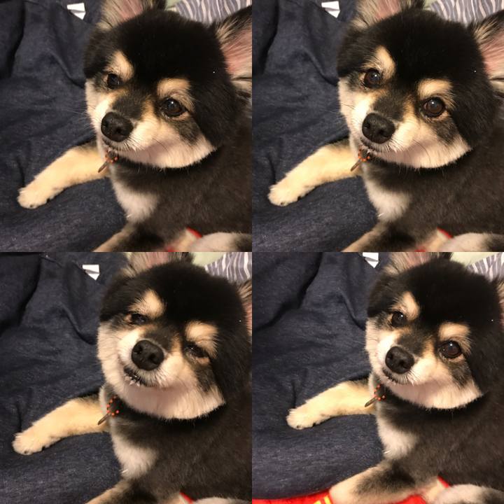 0e8368ea d70a 4c41 a28f 4d06f8bbc065 1533677871650