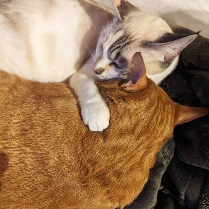 0e83b110 87d1 4661 9c52 a6bf53b661b8 1704715544118