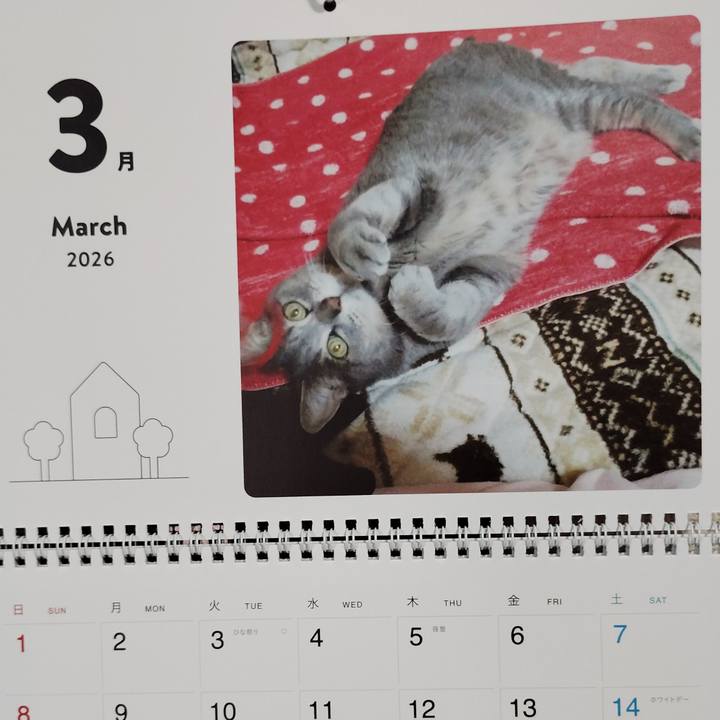 0e83ce5b 8e4c 425e b278 17b9d6b9c112 1772321045598