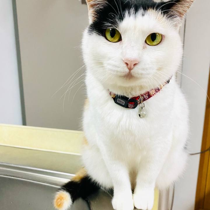 0e8413ab 9cc0 4a4e b2b9 81a7906239d5 1684499140724