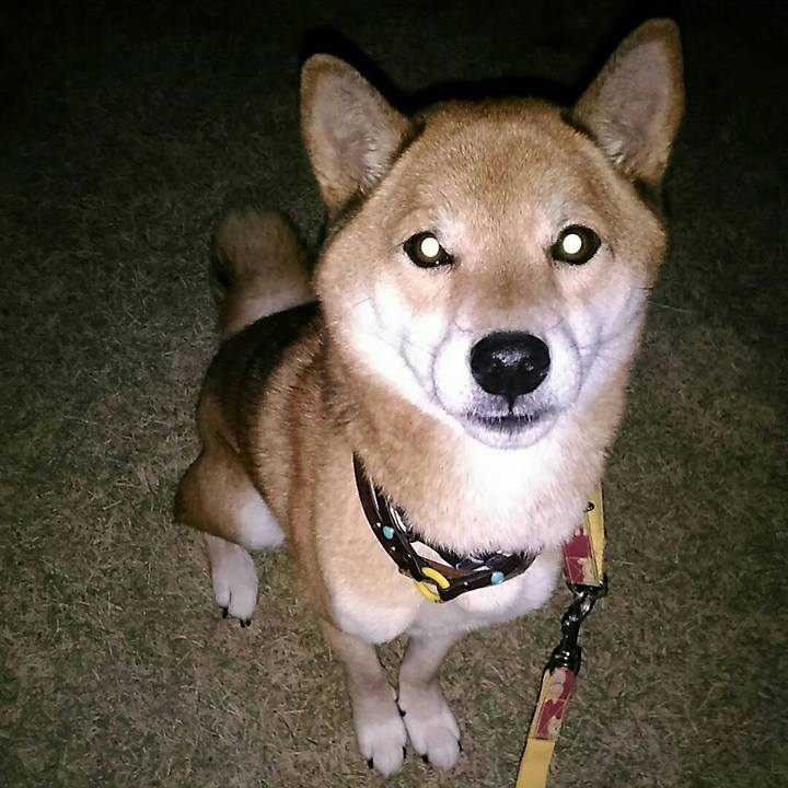 0e841bf2 52b9 492b b6d8 878fb2cd0d06 1574237741077