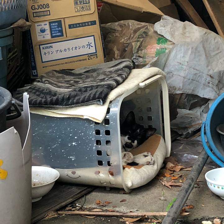 0e841f58 10d3 45cc 90de 003cb799460b 1524475720815