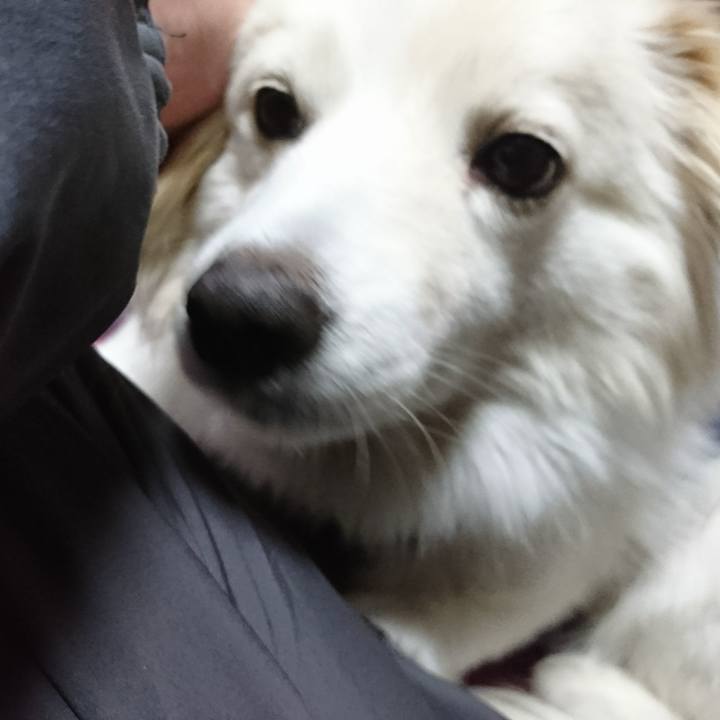 0e84270a c23c 458b 97c4 696d3a9935c4 1518902370750