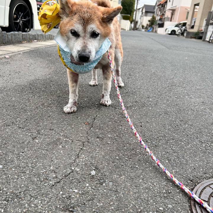 0e842f06 4709 442e 861a 92cd0a0a7ecb 1765419061177