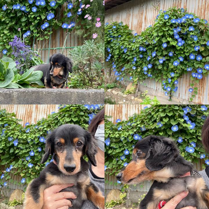 0e84362f c2e1 44bc 8be3 5a1b6b3f37c8 1632638427170