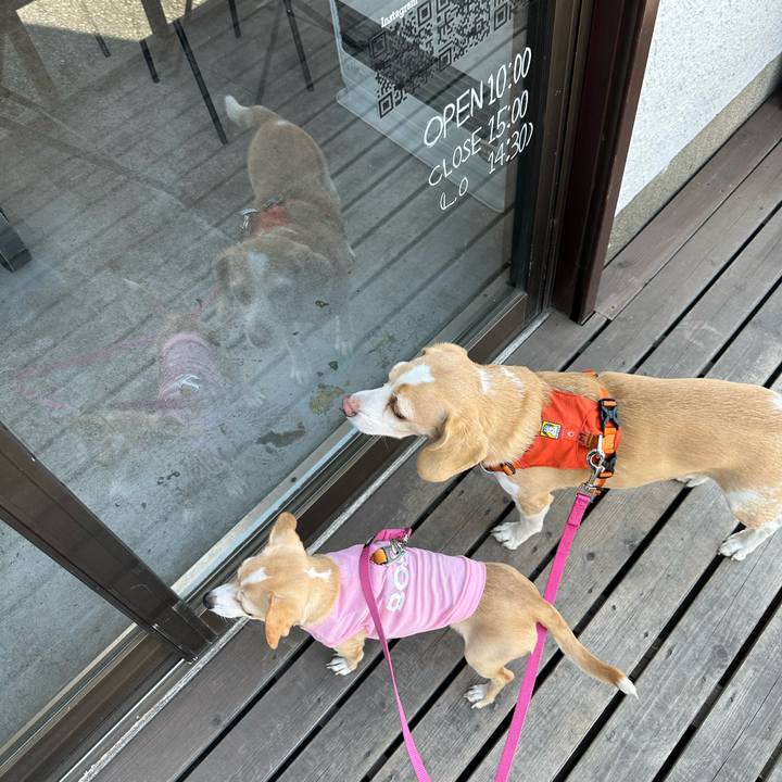 0e845350 fd51 4341 9da0 424430b557de 1680581058367