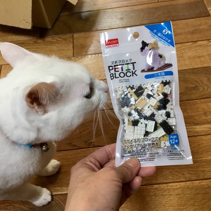 0e8472c3 1207 41fa 8e1f 19a95a0295fd 1511607996327