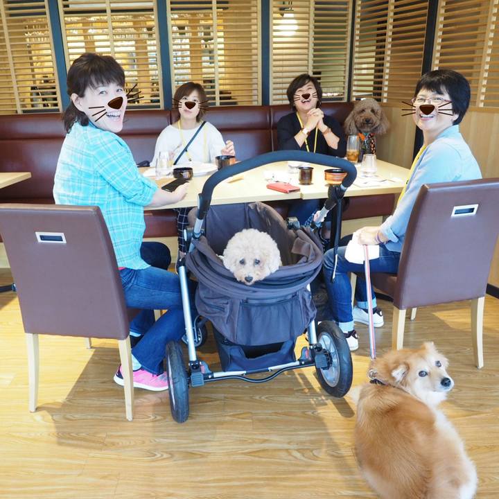 0e848dd6 7081 4aca a56c 86fc500668e5 1539337603798