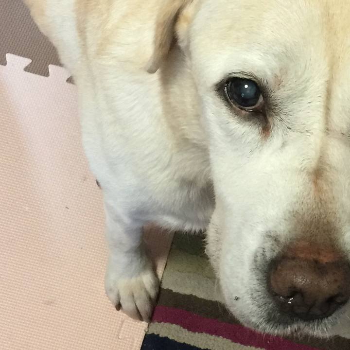 0e849e6f 8fbc 4632 b91d a838e5fbe2ce 1542532843370