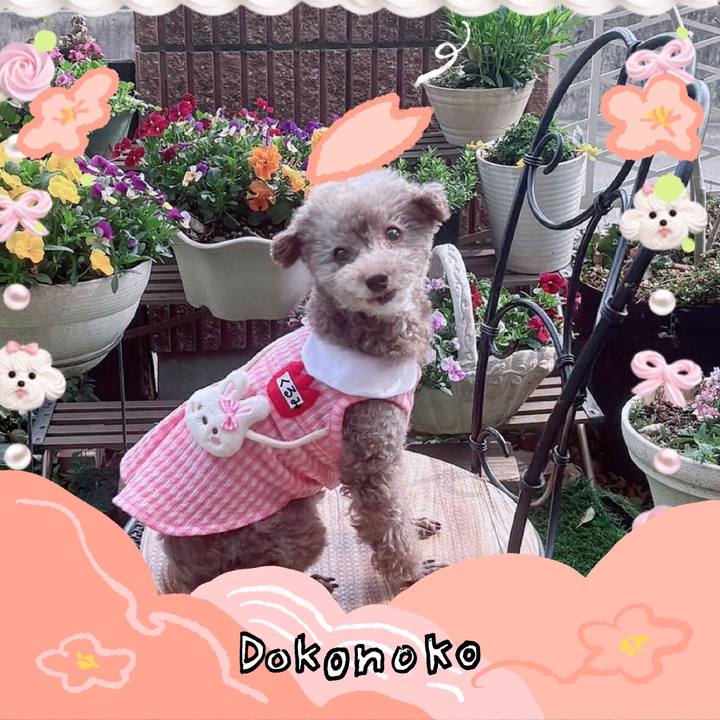 0e84b22e 632e 4764 9404 344a6764dae1 1775181874128