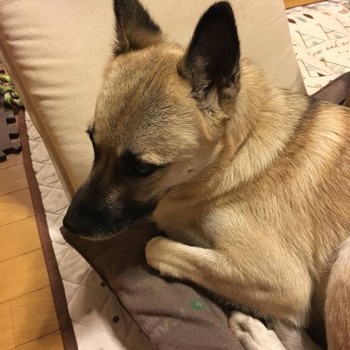 0e84ec6e 8ad8 462f aa32 abb49bb0ac72 1508754640793