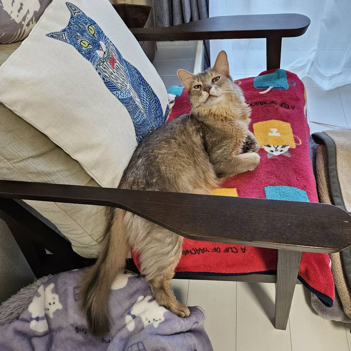 0e84fab4 7427 4da3 8e59 40808ea99e64 1705382591924