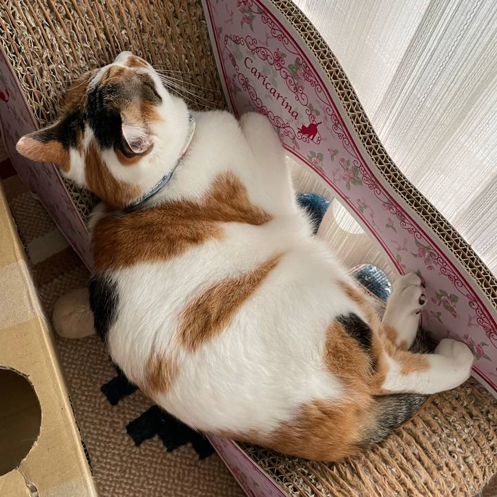 0e8517ed 16f3 4ac2 bbd0 3aab583f47a2 1695449247103