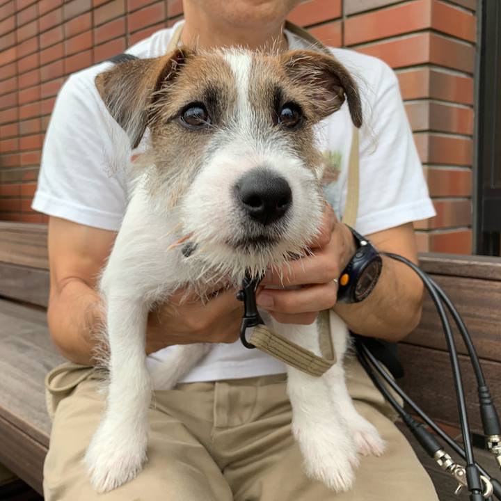 0e85185b a60c 4459 b959 bc6fff96aae0 1563020616059