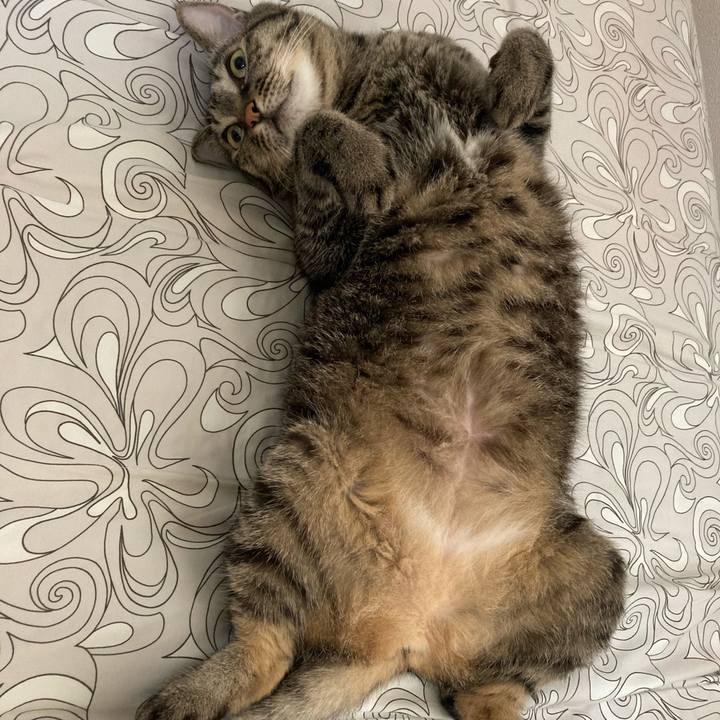 0e853e79 cc72 4745 a737 da5963d400c0 1600297050270