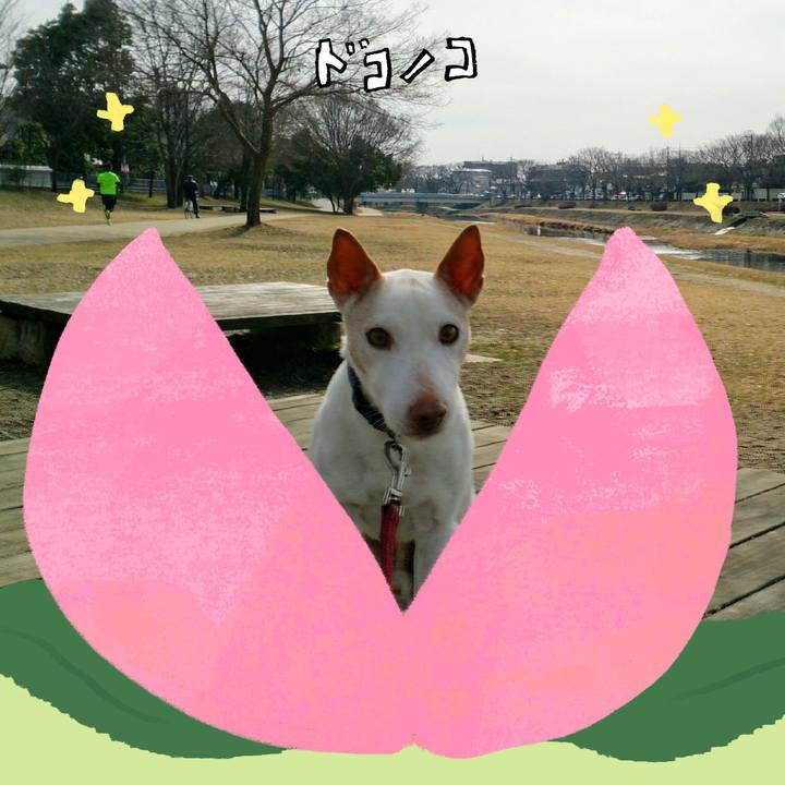 0e858d9a b3fe 43aa 931b b982444a36ac 1772066323016