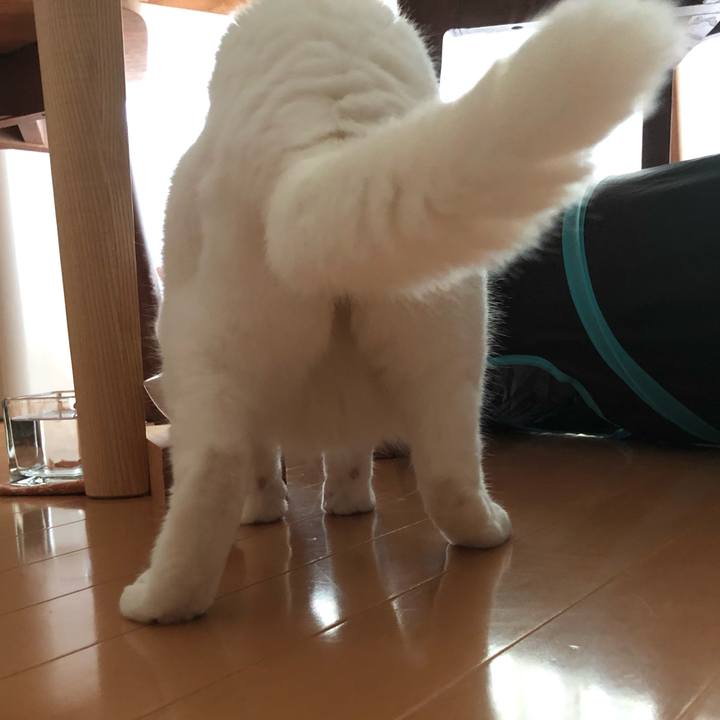 0e859c3c 3b15 4bea bee0 aeed9e17df2a 1564457125322