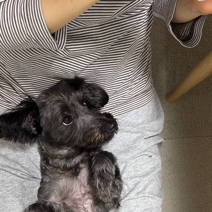 0e85a01e 6dfe 48c9 bad0 59fd0051f219 1756477777383